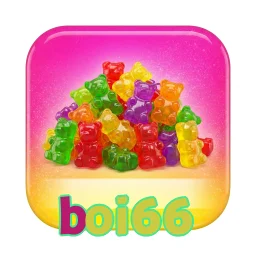 boi66